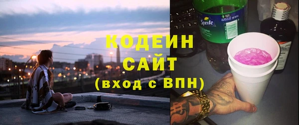 сатива Бородино