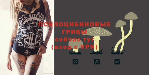 сатива Бородино