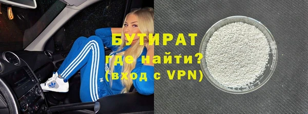 сатива Бородино