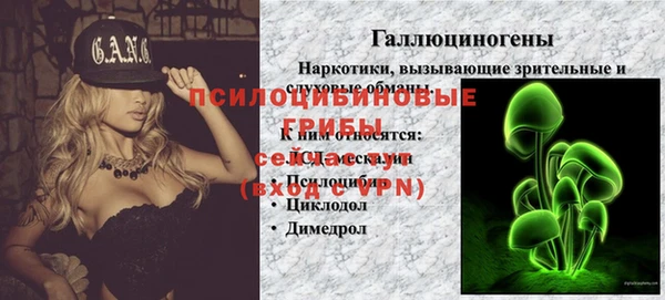 сатива Бородино