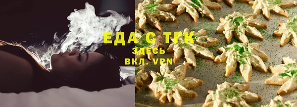 сатива Бородино