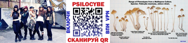 kraken   Тулун  Псилоцибиновые грибы Psilocybe 